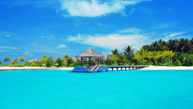 一张美味的图片 &middot; #2934