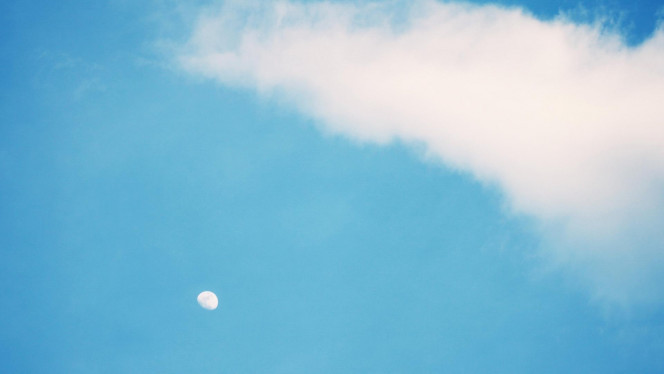 一张美味的图片 &middot; #2989