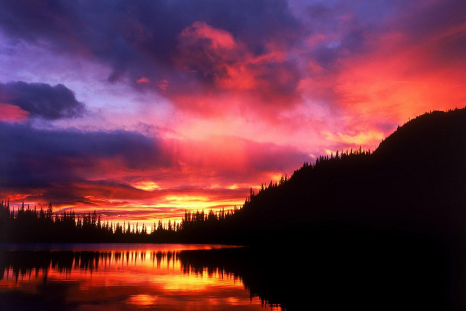 一张美味的图片 &middot; #1600