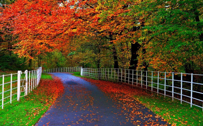 一张美味的图片 &middot; #4030