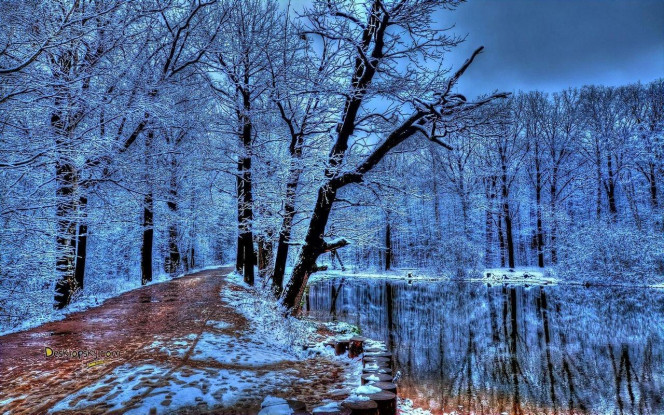 一张美味的图片 &middot; #2085