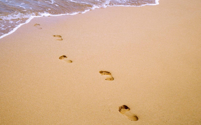 一张美味的图片 &middot; #3278