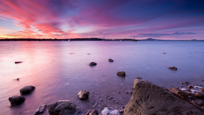 一张美味的图片 &middot; #4169