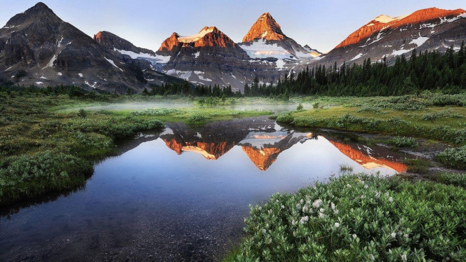 一张美味的图片 &middot; #4351