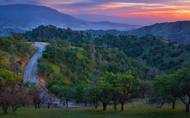 一张美味的图片 &middot; #2751