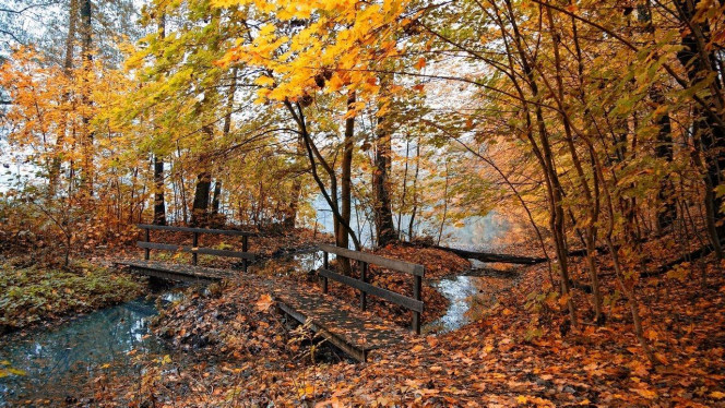 一张美味的图片 &middot; #3657