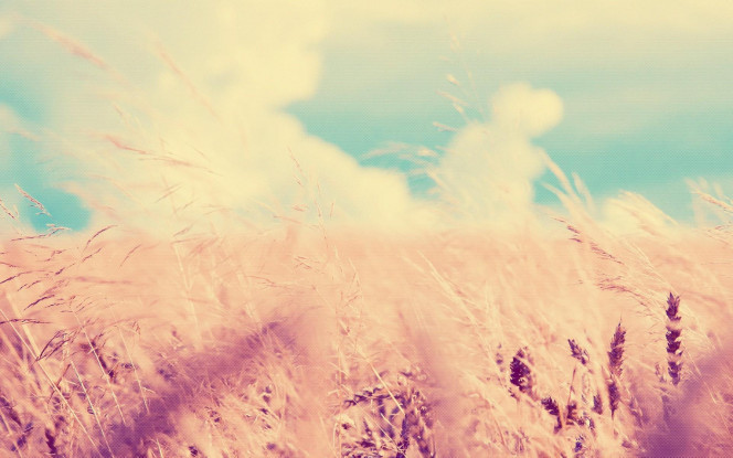 一张美味的图片 &middot; #1711