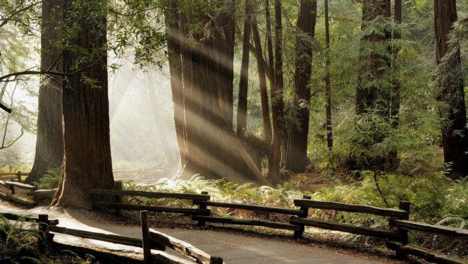 一张美味的图片 &middot; #2321