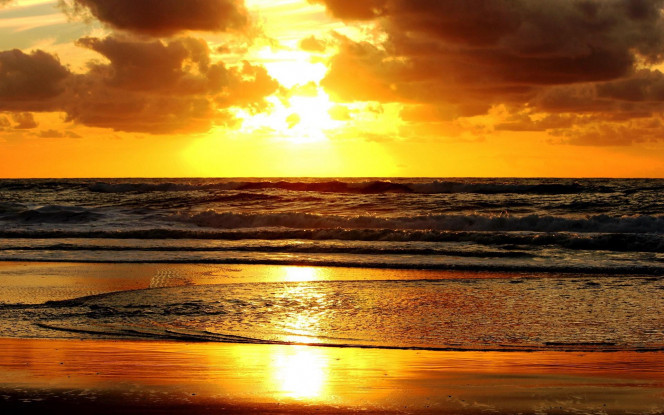 一张美味的图片 &middot; #1724