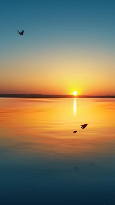 一张美味的图片 &middot; #153