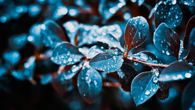 一张美味的图片 &middot; #4004