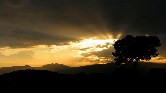 一张美味的图片 &middot; #1932