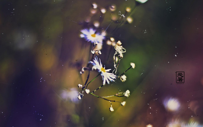 一张美味的图片 &middot; #2006