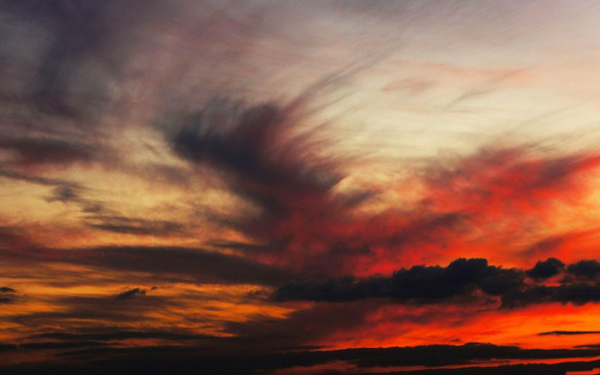 一张美味的图片 &middot; #3004