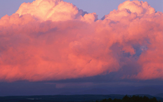 一张美味的图片 &middot; #2181