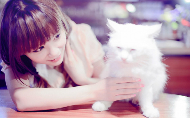 一张美味的图片 &middot; #5007