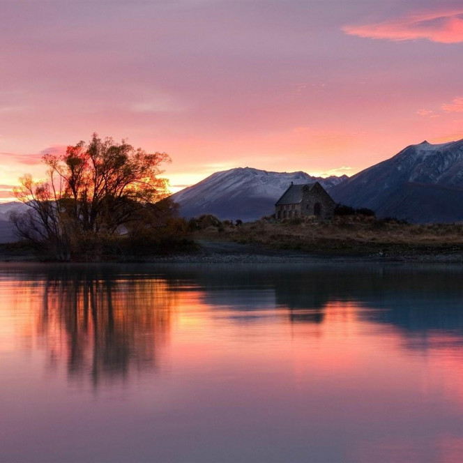 一张美味的图片 &middot; #2362