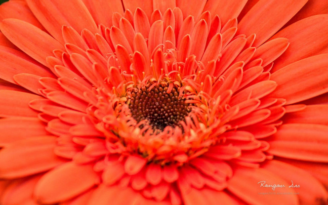 一张美味的图片 &middot; #2163