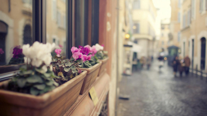 一张美味的图片 &middot; #1271