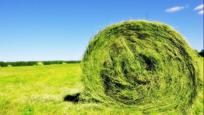 一张美味的图片 &middot; #2590