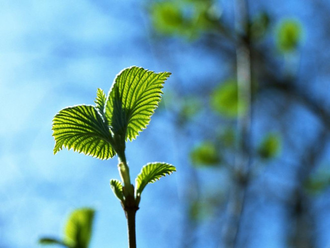 一张美味的图片 &middot; #614