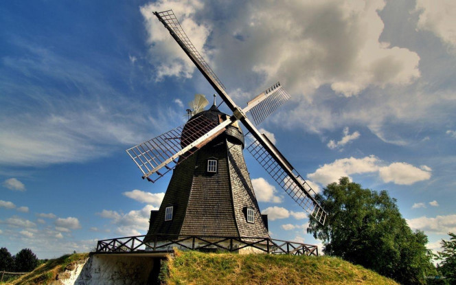 一张美味的图片 &middot; #3036