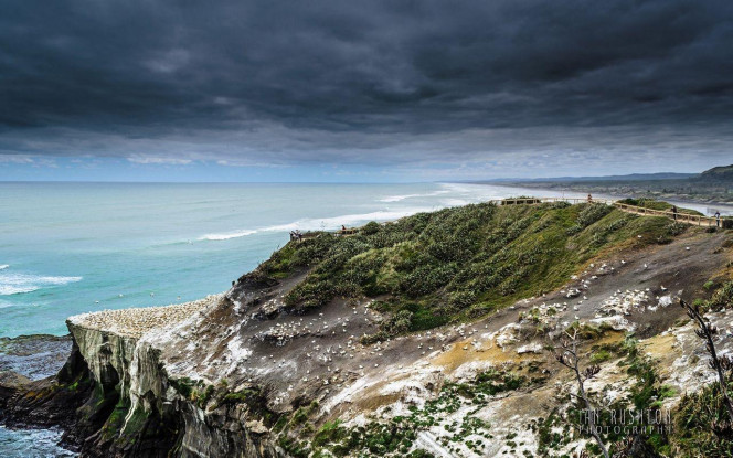 一张美味的图片 &middot; #1915