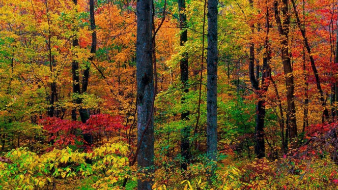 一张美味的图片 &middot; #4128