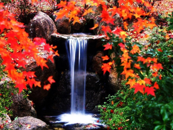 一张美味的图片 &middot; #1013