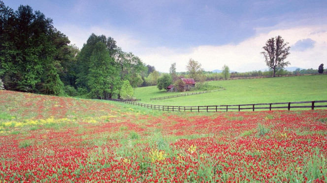 一张美味的图片 &middot; #2388