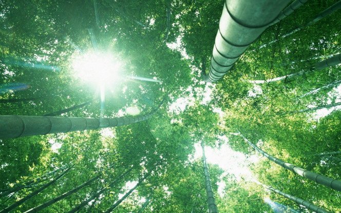 一张美味的图片 &middot; #909