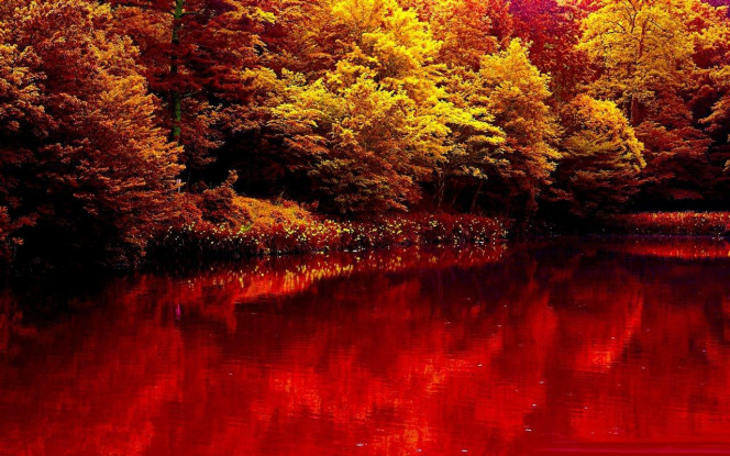 一张美味的图片 &middot; #1985