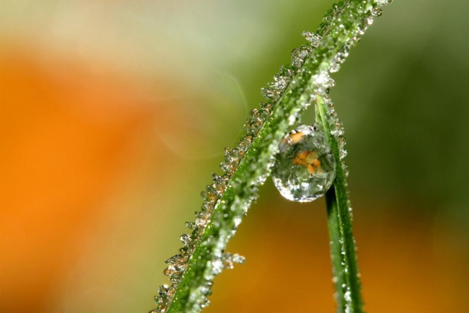 一张美味的图片 &middot; #2875