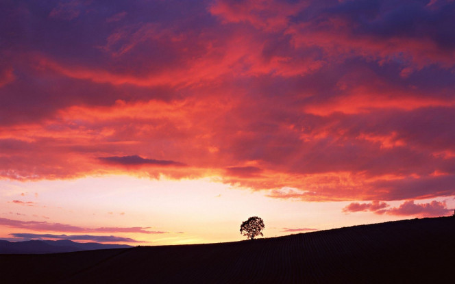 一张美味的图片 &middot; #2212