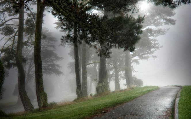 一张美味的图片 &middot; #2084