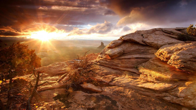 一张美味的图片 &middot; #4519