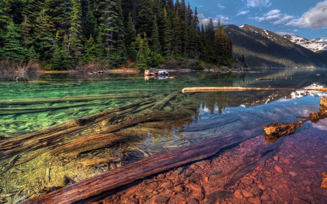 一张美味的图片 &middot; #1838