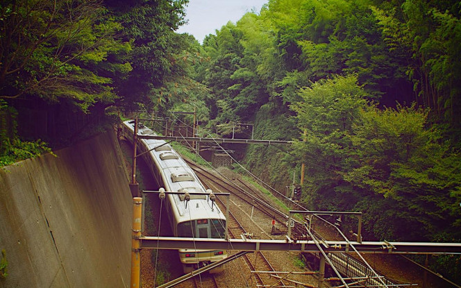 一张美味的图片 &middot; #1163