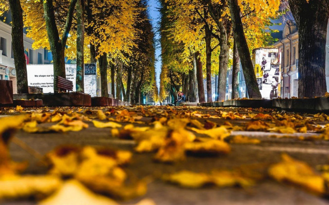 一张美味的图片 &middot; #4024