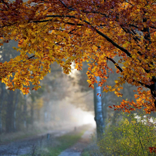 一张美味的图片 &middot; #2369