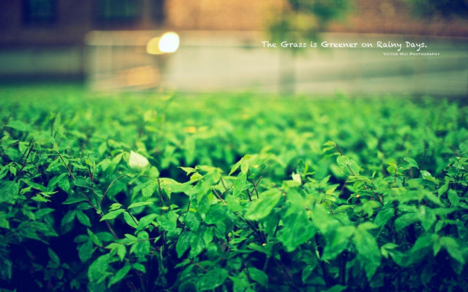 一张美味的图片 &middot; #2963