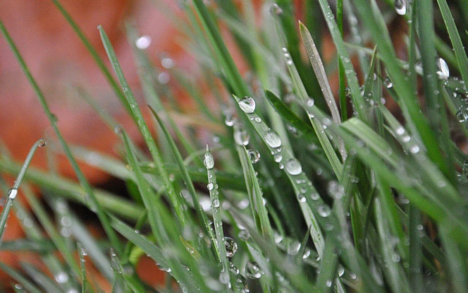 一张美味的图片 &middot; #1799