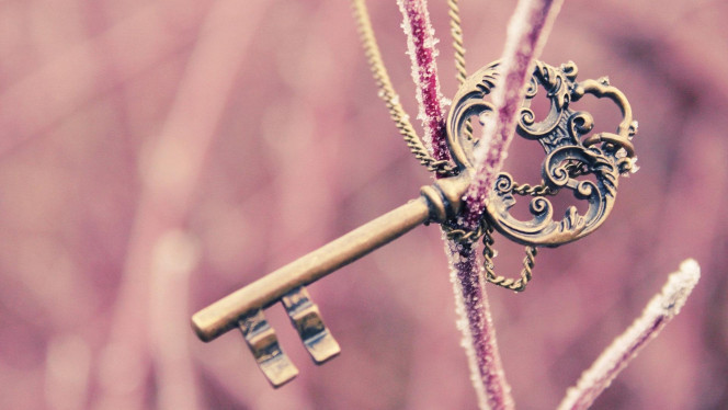 一张美味的图片 &middot; #1257