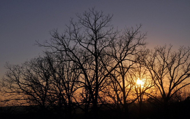 一张美味的图片 &middot; #798