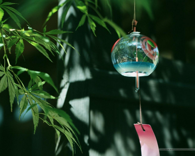 一张美味的图片 &middot; #667