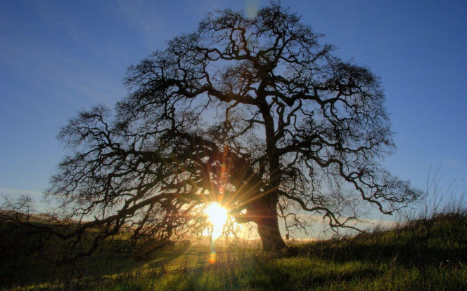 一张美味的图片 &middot; #1846