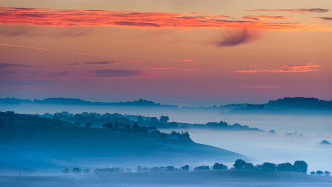 一张美味的图片 &middot; #2250