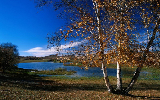 一张美味的图片 &middot; #3329