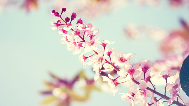 一张美味的图片 &middot; #3601