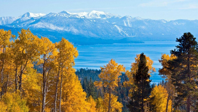 一张美味的图片 &middot; #4120